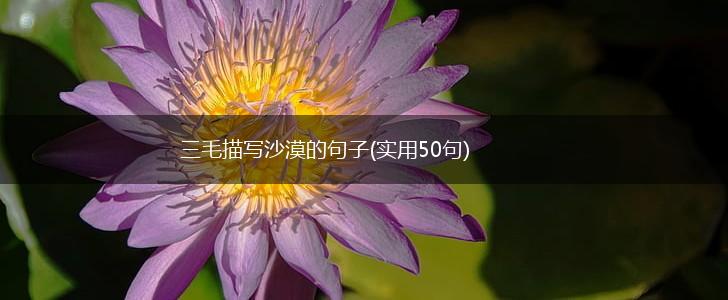 三毛描写沙漠的句子(实用50句),第1张