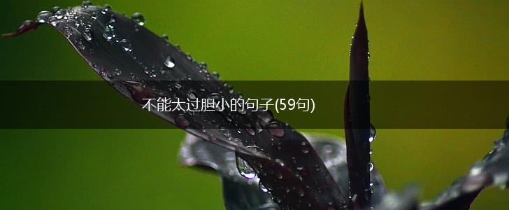不能太过胆小的句子(59句),第1张