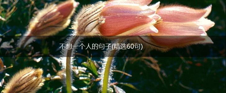 不想一个人的句子(精选60句),第1张