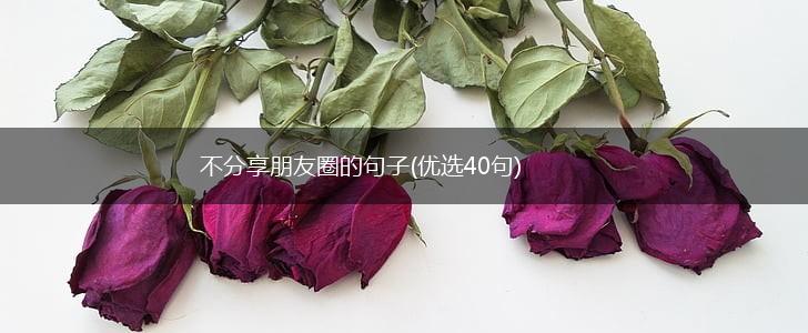 不分享朋友圈的句子(优选40句),第1张