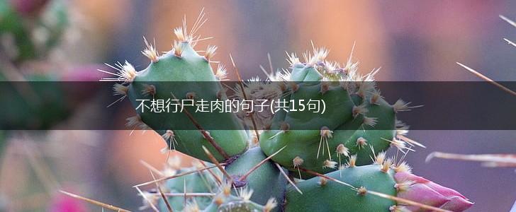 不想行尸走肉的句子(共15句),第1张