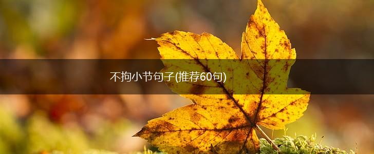 不拘小节句子(推荐60句),第1张