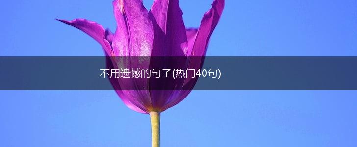 不用遗憾的句子(热门40句),第1张