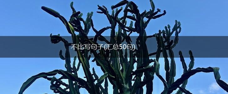 不比写句子(汇总50句),第1张