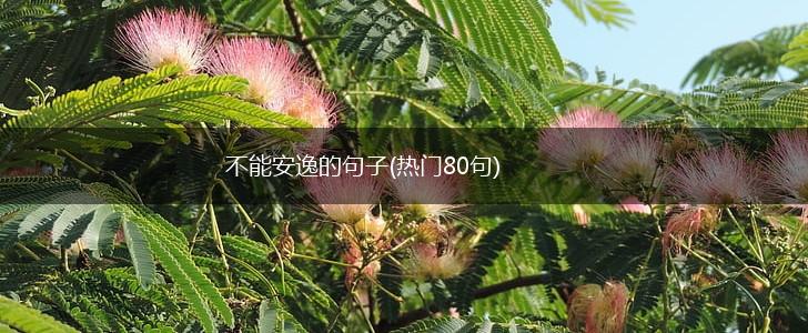 不能安逸的句子(热门80句),第1张
