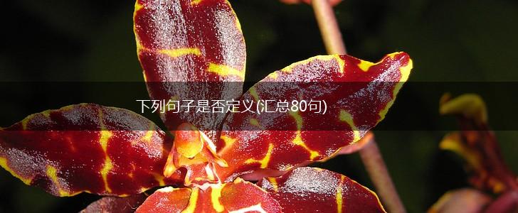 下列句子是否定义(汇总80句),第1张