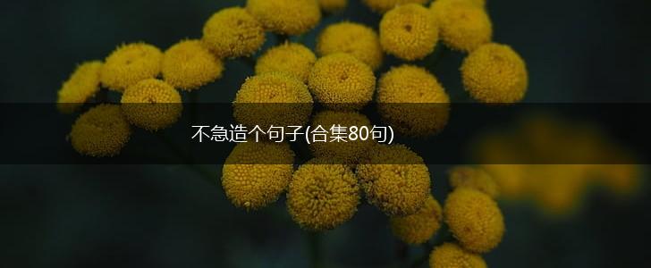 不急造个句子(合集80句),第1张