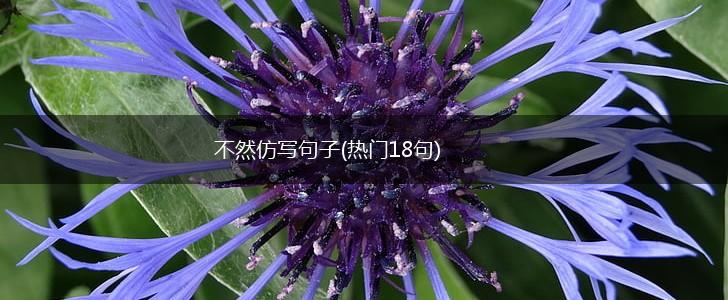 不然仿写句子(热门18句),第1张