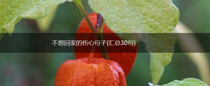 不想回家的伤心句子(汇总30句),第1张 不想回家的伤心句子(汇总30句),第1张