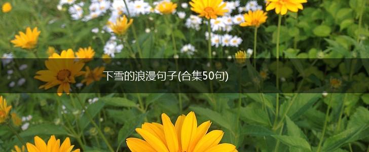 下雪的浪漫句子(合集50句),第1张