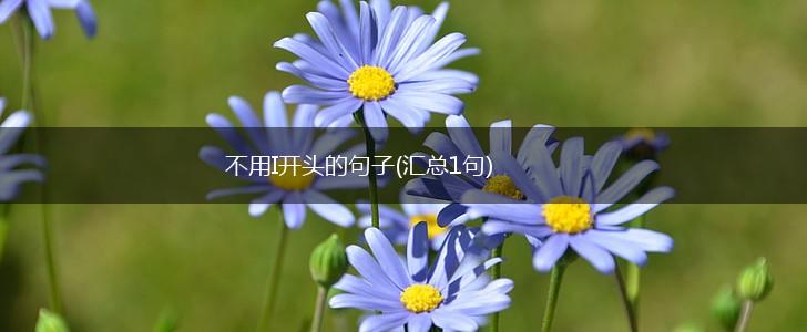 不用I开头的句子(汇总1句),第1张