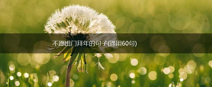 不愿出门拜年的句子(通用60句),第1张