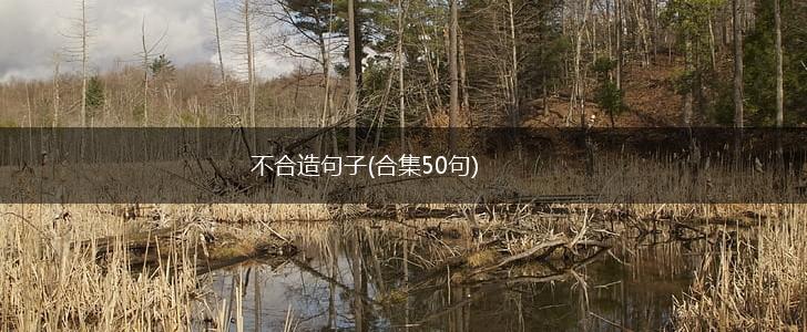 不合造句子(合集50句),第1张