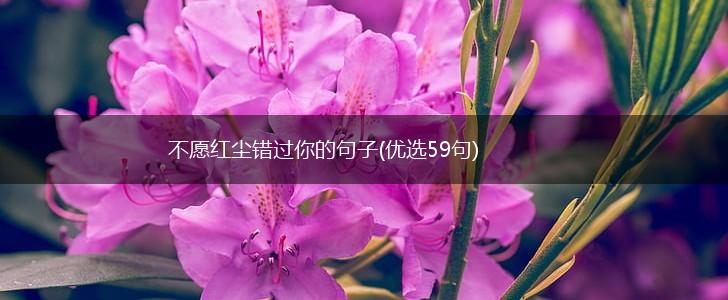 不愿红尘错过你的句子(优选59句),第1张