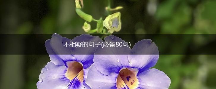 不相疑的句子(必备80句),第1张