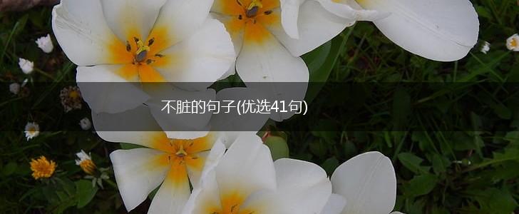 不脏的句子(优选41句),第1张