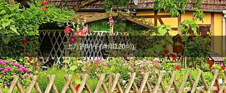 上方的句子(通用120句),第1张