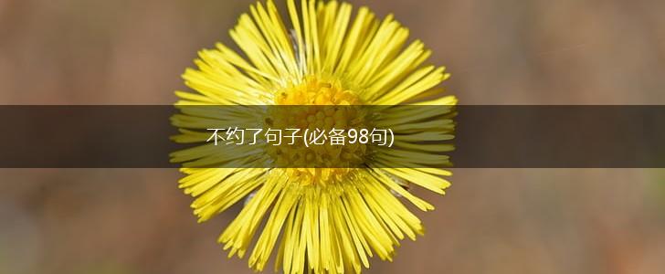 不约了句子(必备98句),第1张