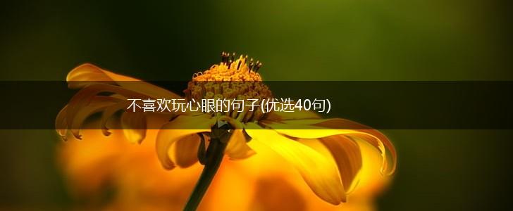 不喜欢玩心眼的句子(优选40句),第1张