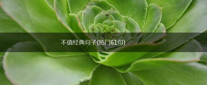不值经典句子(热门61句),第1张
