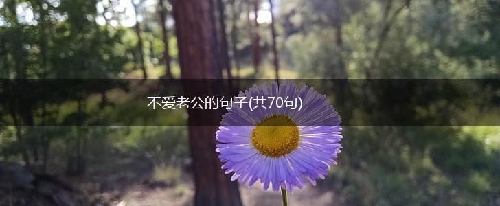 不爱老公的句子(共70句),第1张 不爱老公的句子(共70句),第1张