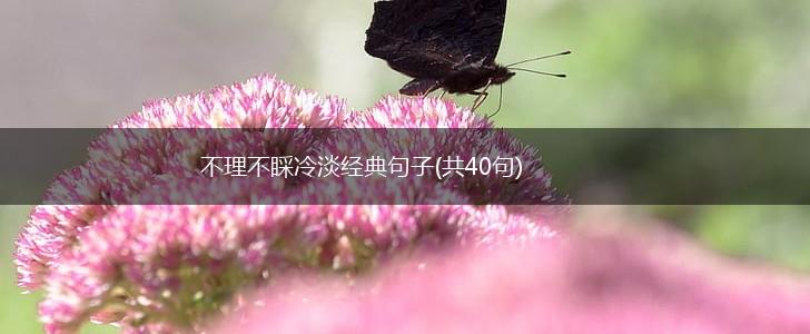 不理不睬冷淡经典句子(共40句),第1张