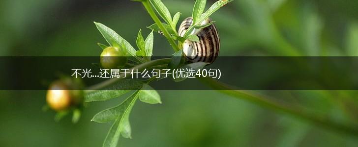 不光...还属于什么句子(优选40句),第1张