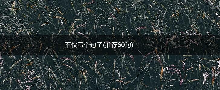 不仅写个句子(推荐60句),第1张