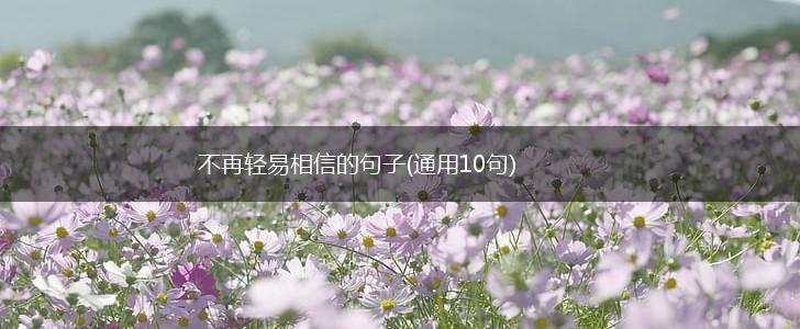 不再轻易相信的句子(通用10句),第1张