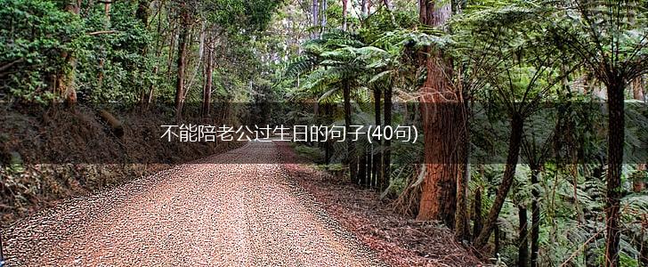 不能陪老公过生日的句子(40句),第1张