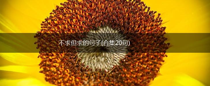 不求但求的句子(合集20句),第1张