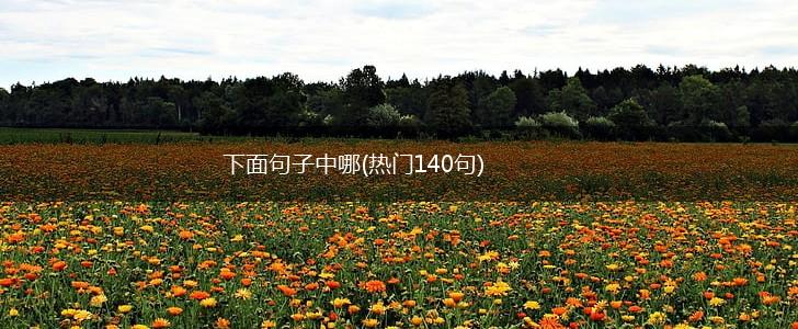 下面句子中哪(热门140句),第1张