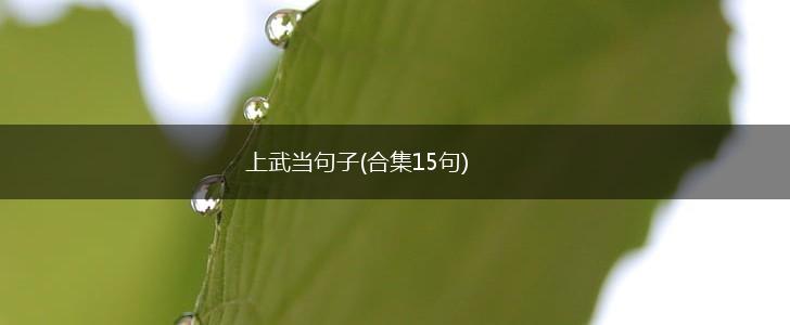 上武当句子(合集15句),第1张