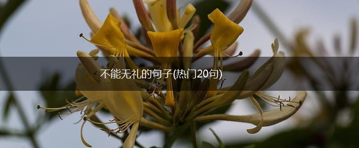 不能无礼的句子(热门20句),第1张