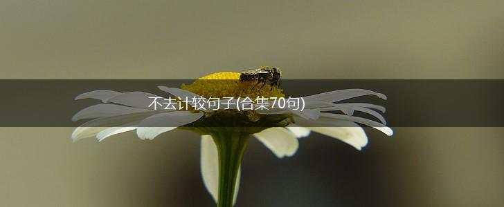 不去计较句子(合集70句),第1张