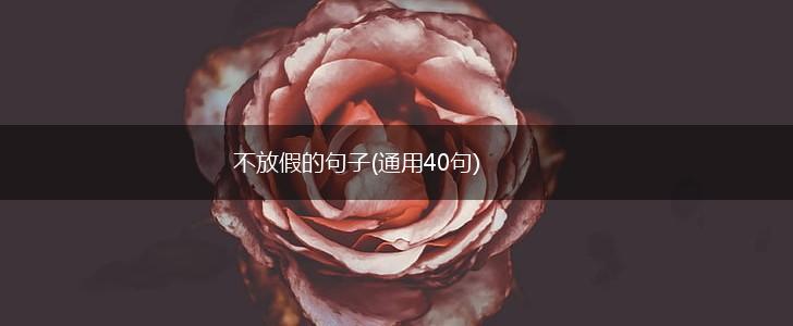不放假的句子(通用40句),第1张