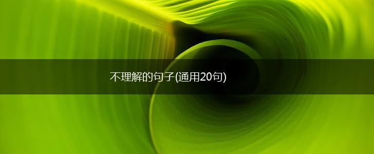 不理解的句子(通用20句),第1张
