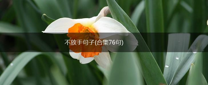 不放手句子(合集76句),第1张
