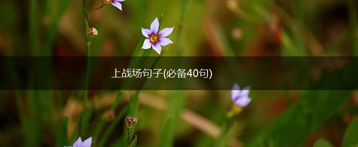 上战场句子(必备40句),第1张