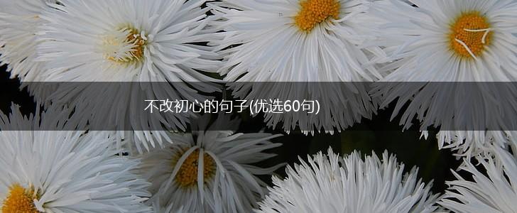 不改初心的句子(优选60句),第1张