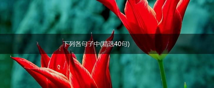 下列各句子中(精选40句),第1张