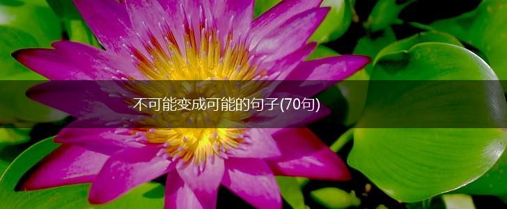 不可能变成可能的句子(70句),第1张