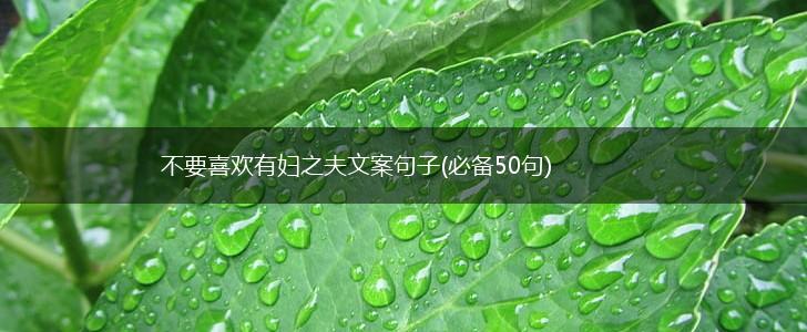 不要喜欢有妇之夫文案句子(必备50句),第1张