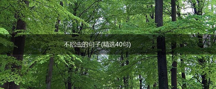 不招虫的句子(精选40句),第1张