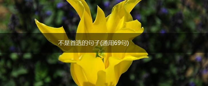 不是首选的句子(通用69句),第1张
