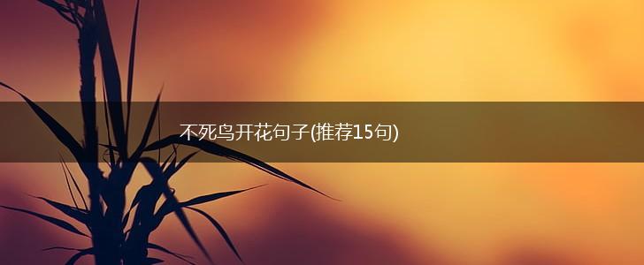 不死鸟开花句子(推荐15句),第1张