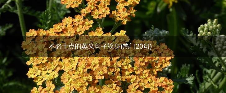 不必十点的英文句子纹身(热门20句),第1张