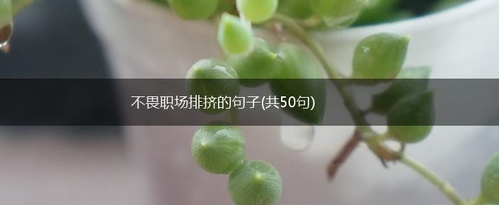 不畏职场排挤的句子(共50句),第1张