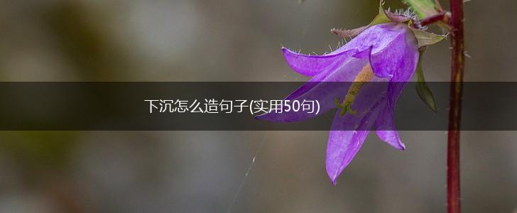 下沉怎么造句子(实用50句),第1张