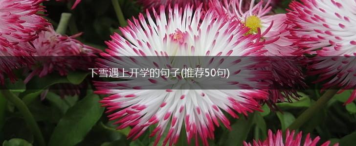 下雪遇上开学的句子(推荐50句),第1张